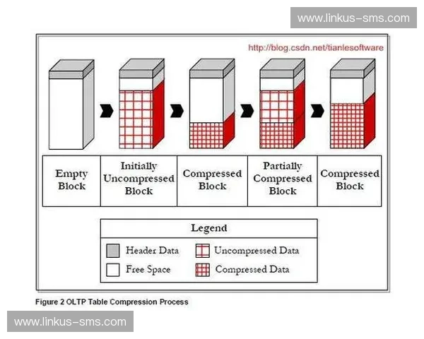 基于空间压缩技术的高效数据存储与传输研究与应用探索