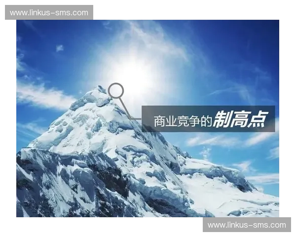 商业战略布局：创新思维引领企业竞争优势的构建与持续发展路径