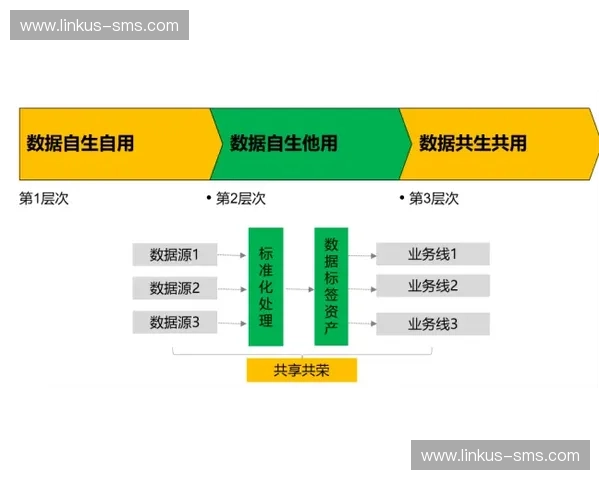 体育产业联盟驱动多元协同创新与高质量发展新格局构建时代生态体系