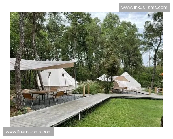 体育露营融合新生活方式的户外运动体验与社交空间探索发展趋势