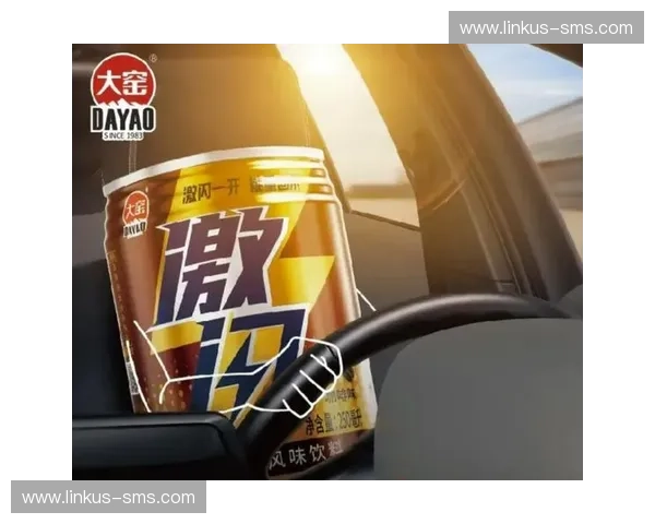 能量饮料行业趋势分析与未来发展方向探讨 能量饮料行业趋势分析与未来发展方向探讨